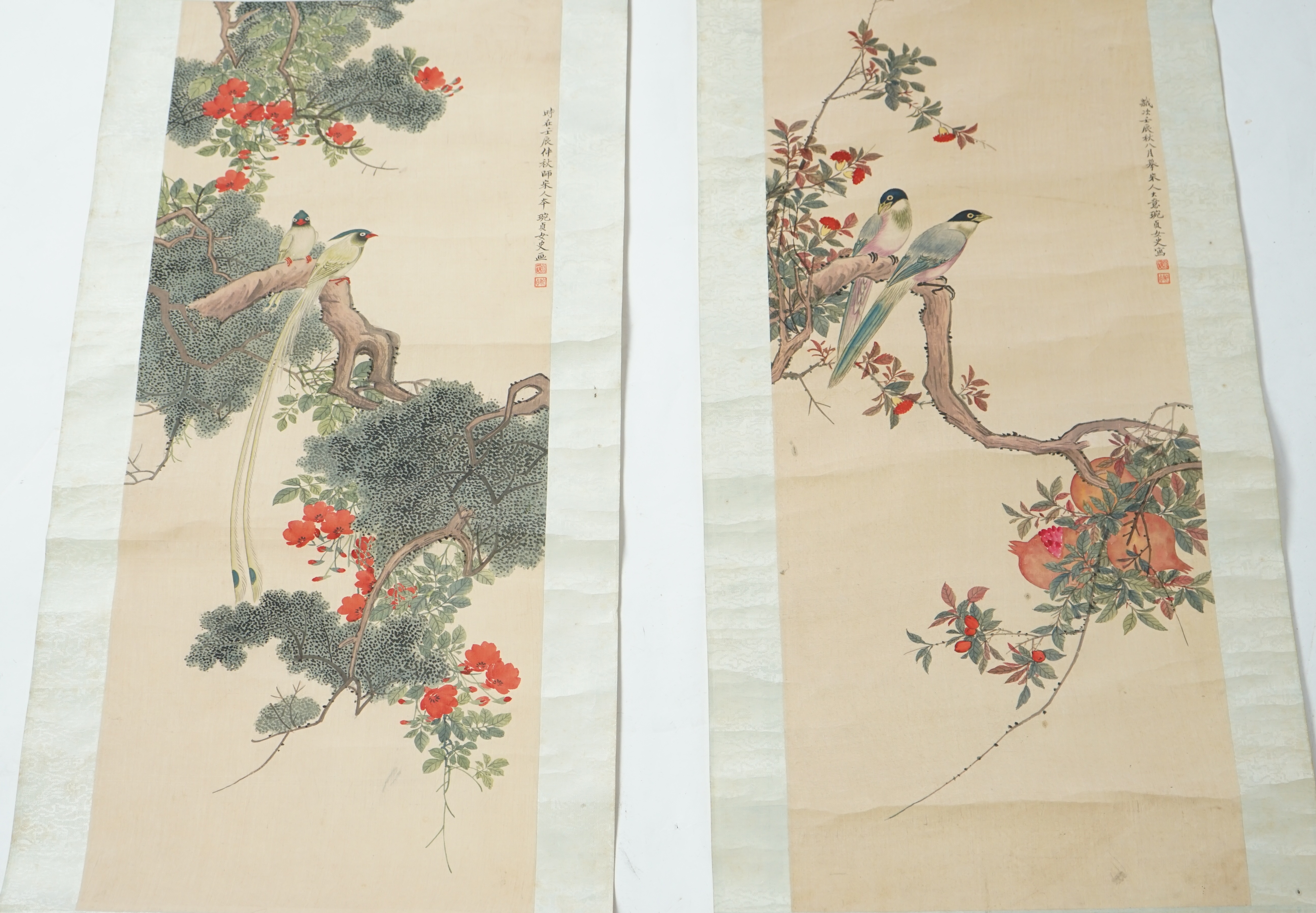Chinese School, late 19th century, a pair of scroll paintings on silk of birds